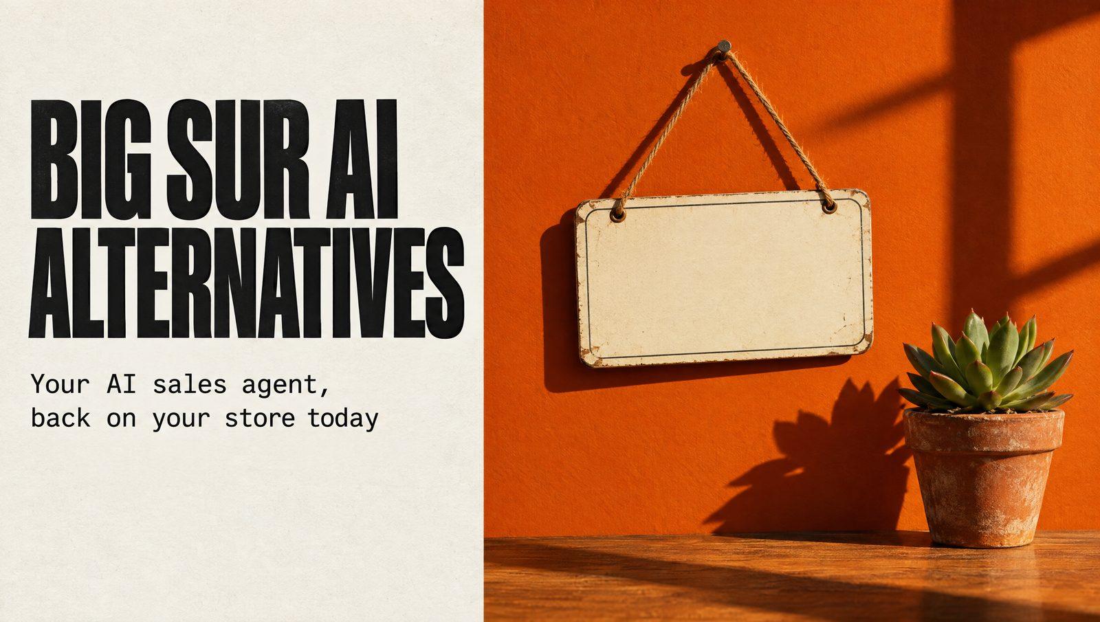 Big Sur AI alternatives: your AI sales agent, back on your store today